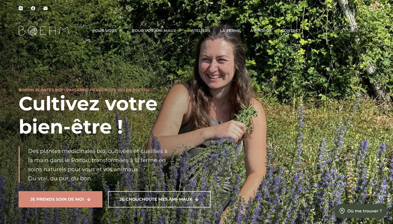 Page d'accueil du site Boehm Plantes Bio sur ordinateur