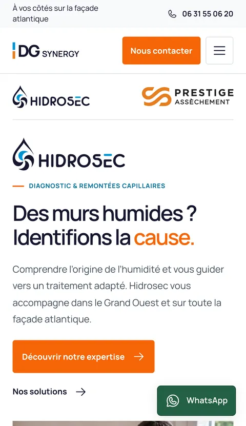 Version mobile du site DG SYNERGY