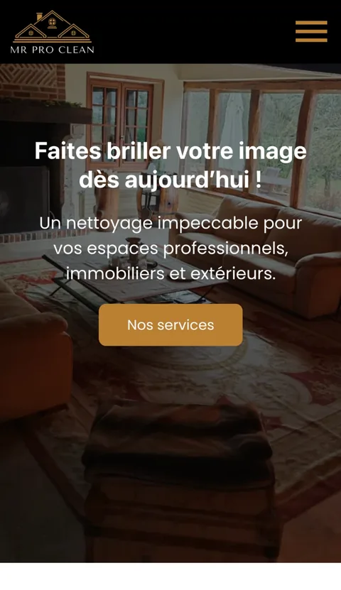 Version mobile du site Mr Pro Clean 41