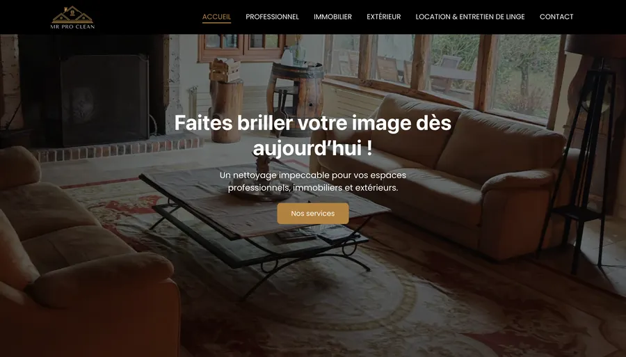 Page d'accueil du site Mr Pro Clean 41